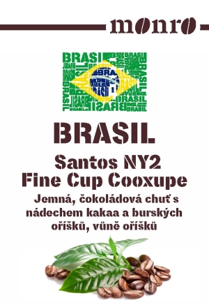 Brasil Santos Monro